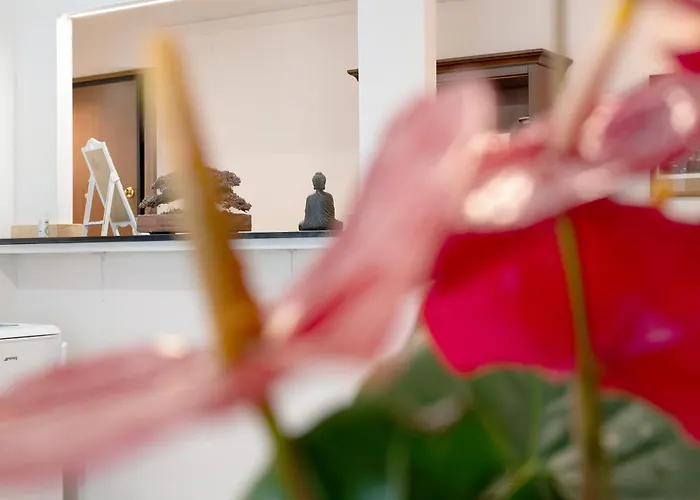 Ohana Bnb