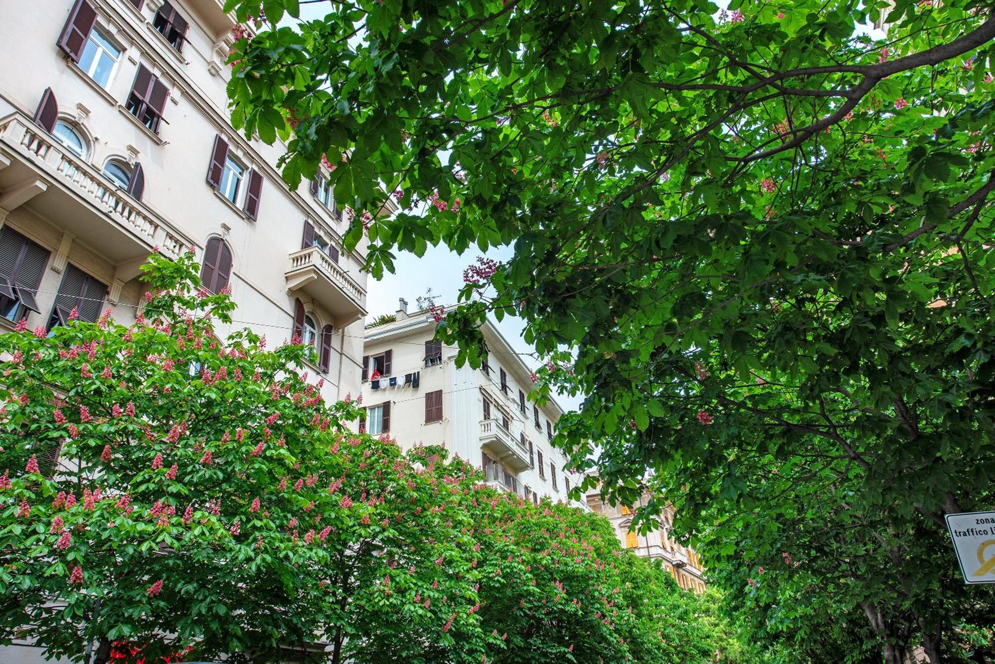 Ohana Genoa